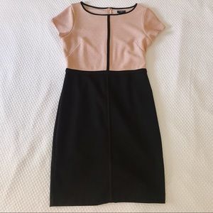 ANN TAYLOR work dress